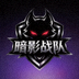 暗影战队队标